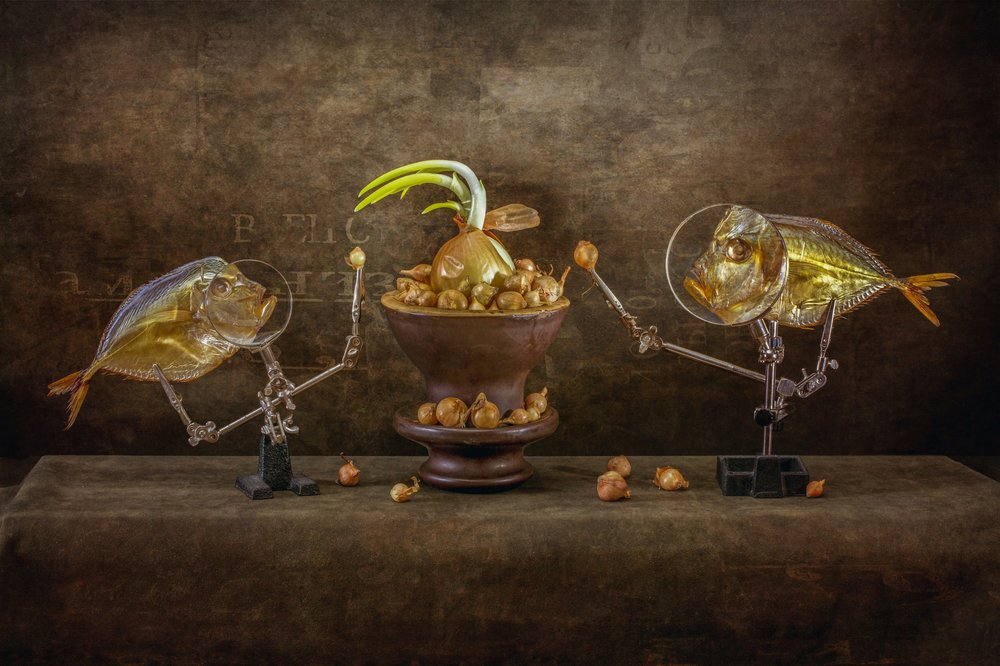 Whimsical Fish and Onions by Brig Barkow