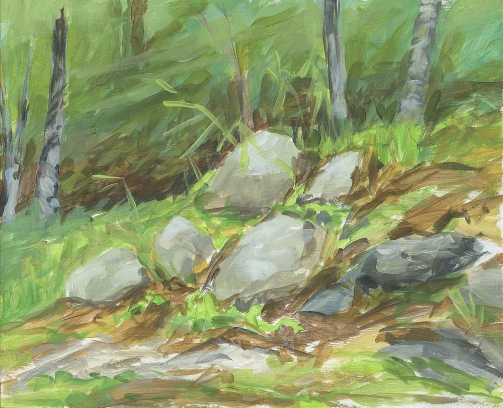 Green Forest Rocks by Carrie Arnold
