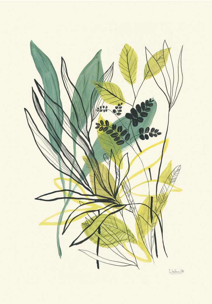 Botanical Greens and Yellows by Catalina Somolinos