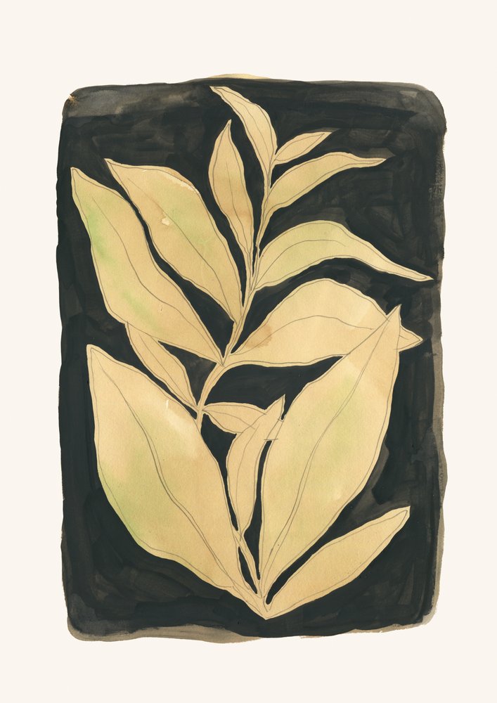 Elegant Botanical Leaves by Catalina Somolinos