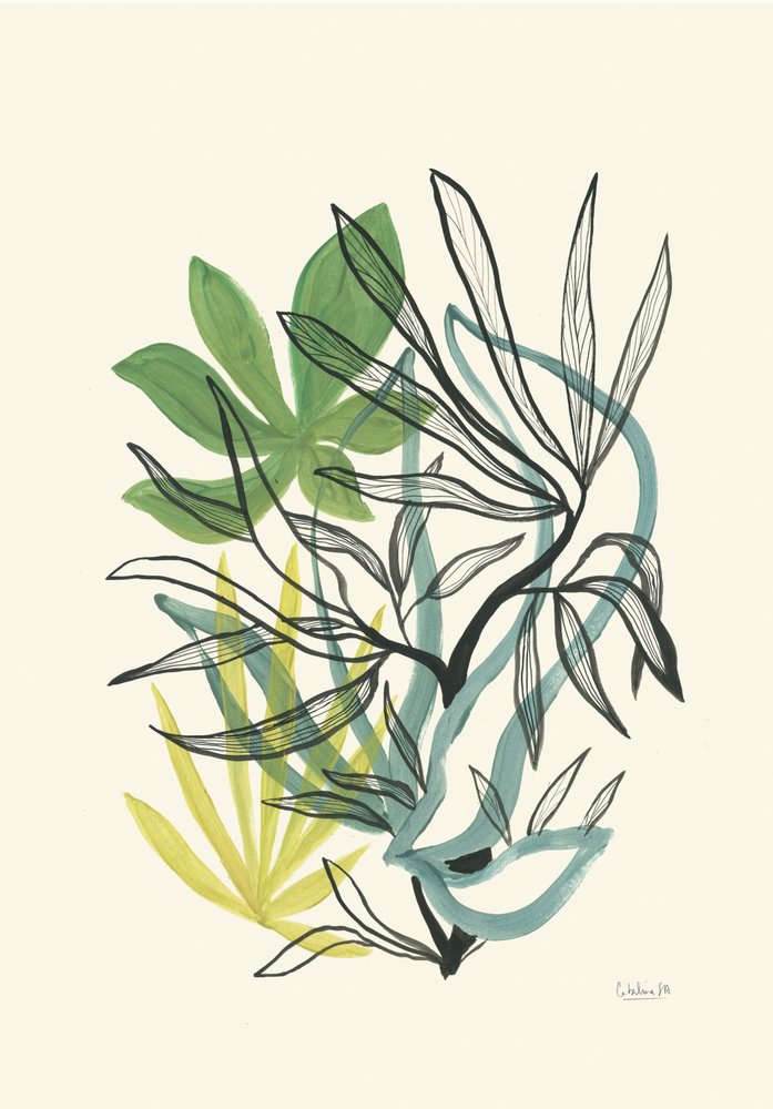 Flowing Botanical Greens by Catalina Somolinos
