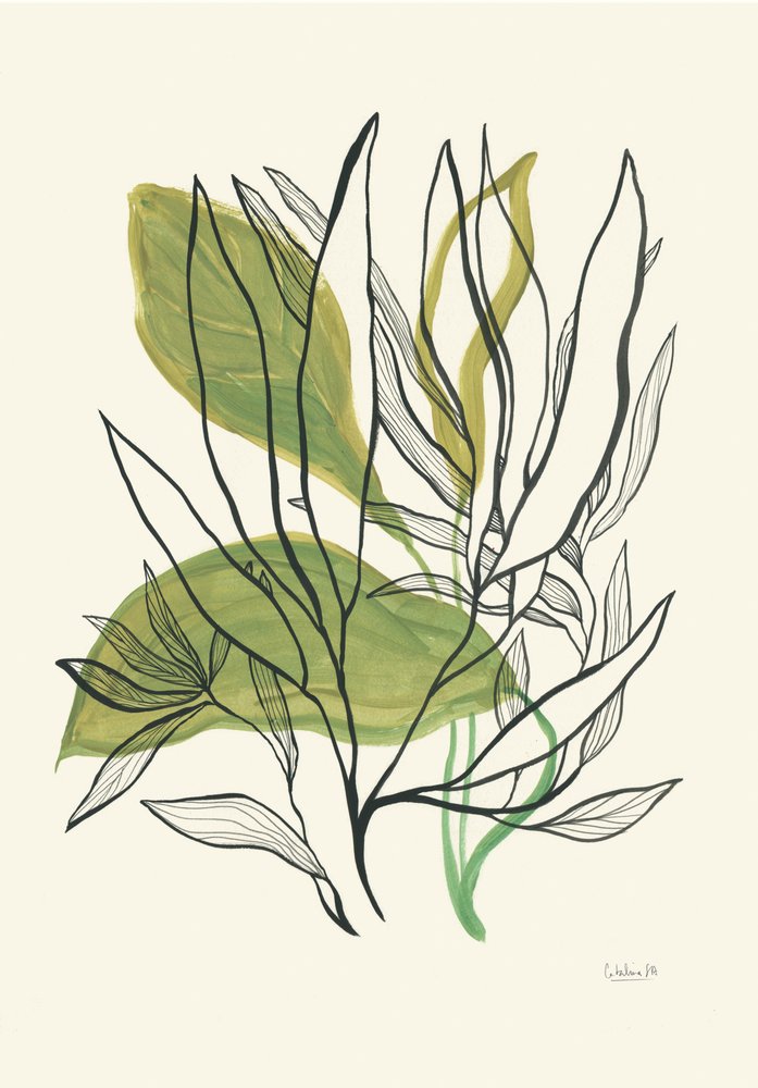Modern Botanical Leaves by Catalina Somolinos