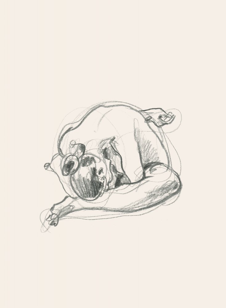 Quiet Curled Figure by Catalina Somolinos