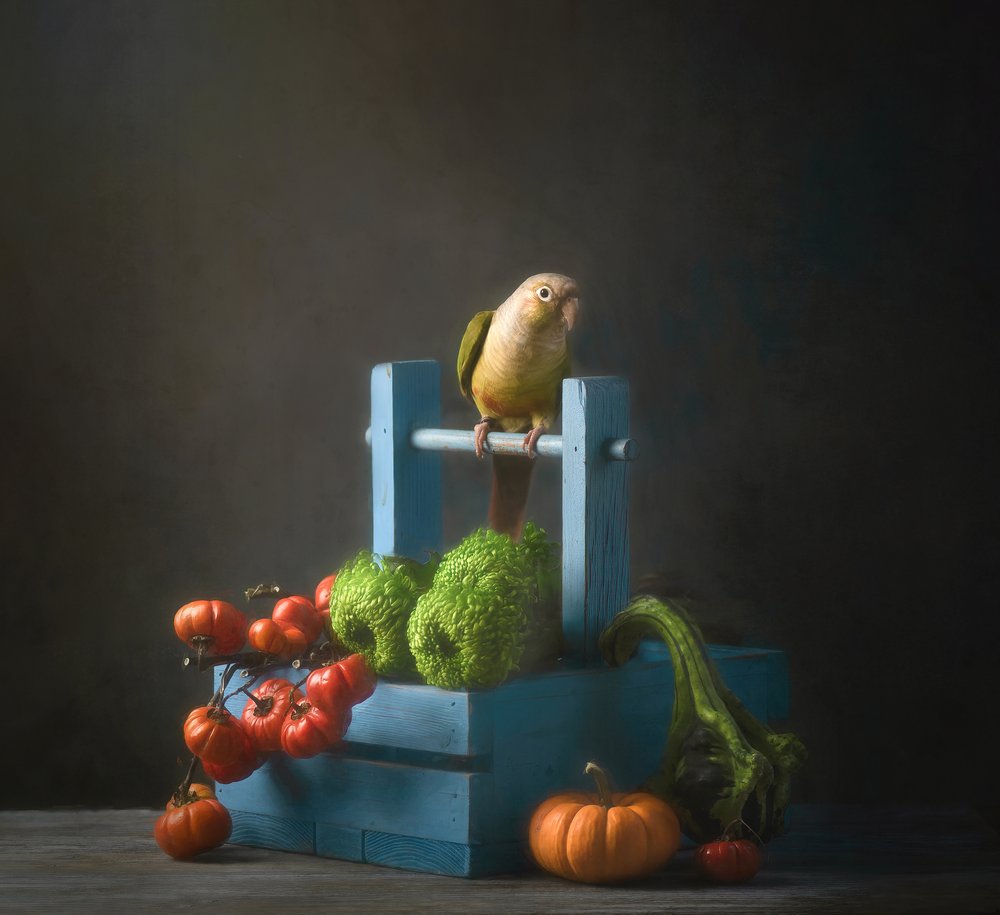 Autumn Parrot Still Life by Catherine Wang