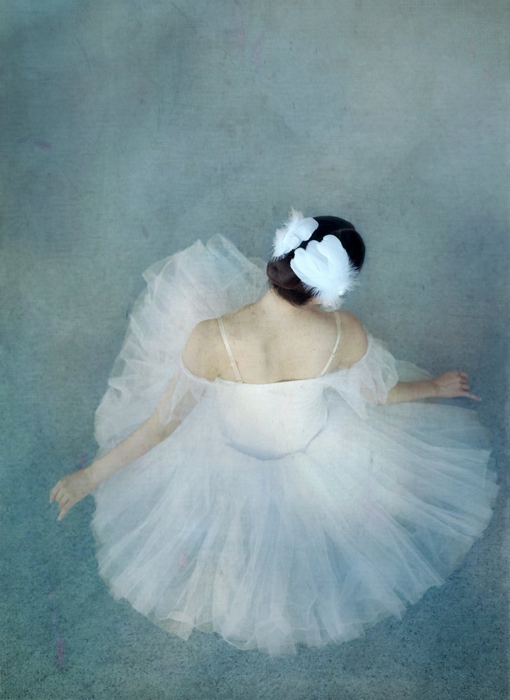 Elegant Ballerina Swan by Catherine Wang