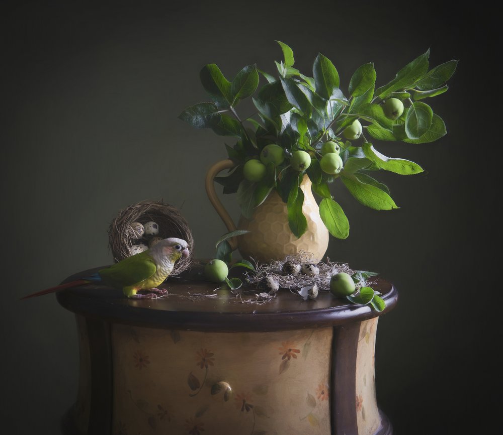 Green Parrot Still Life by Catherine Wang