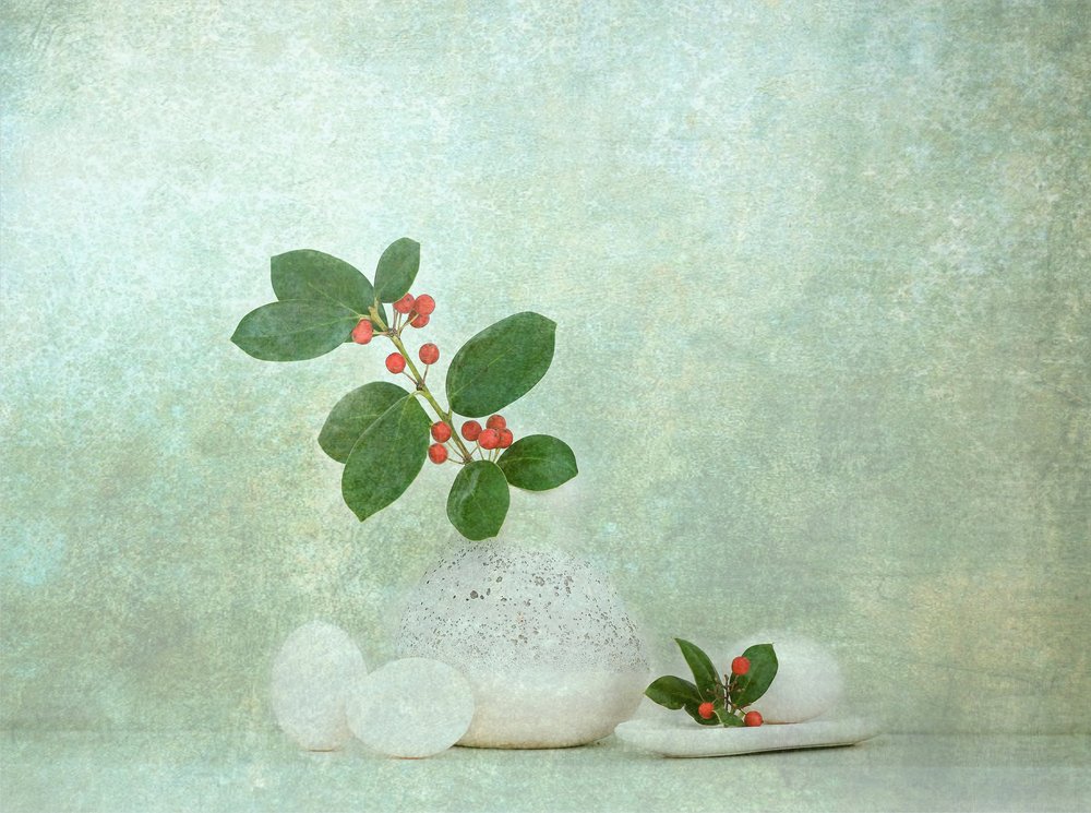 Natural Berry Stone Zen by Catherine Wang