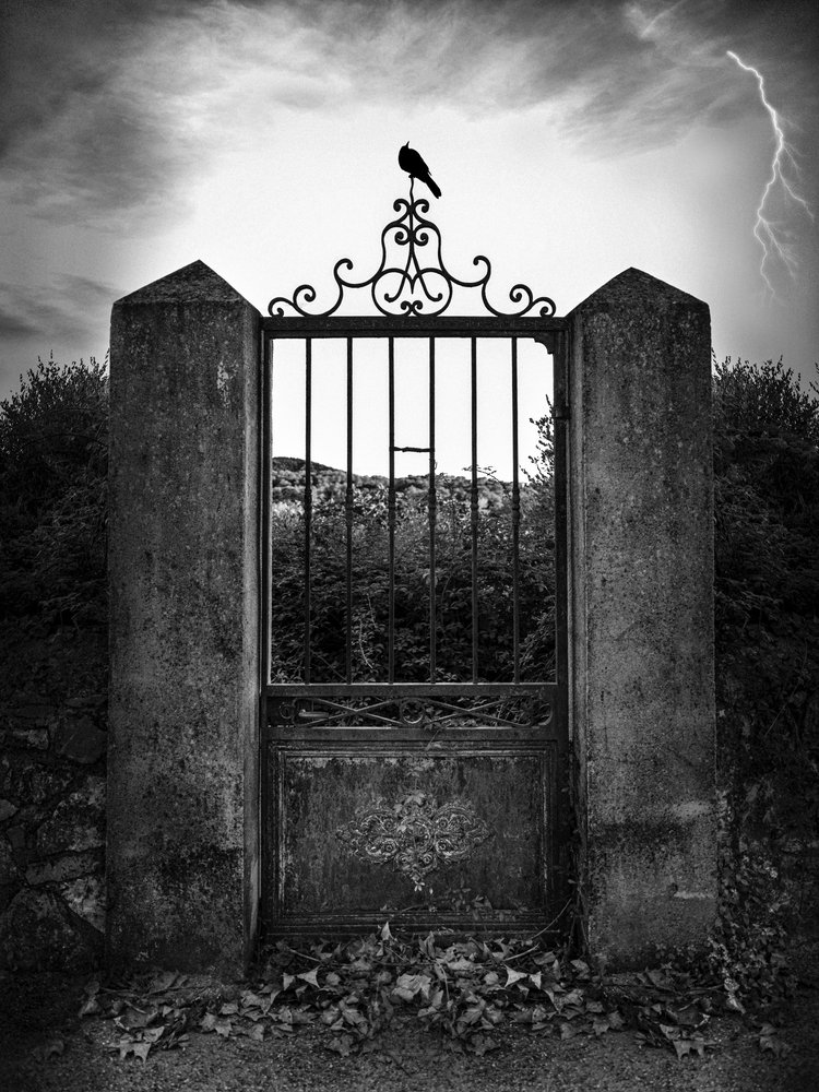 Dark Gate Lightning Crow by Christian MARCEL