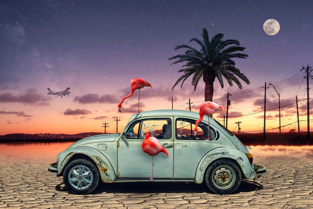 Pink Flamingos in the Night Desert by Christian MARCEL