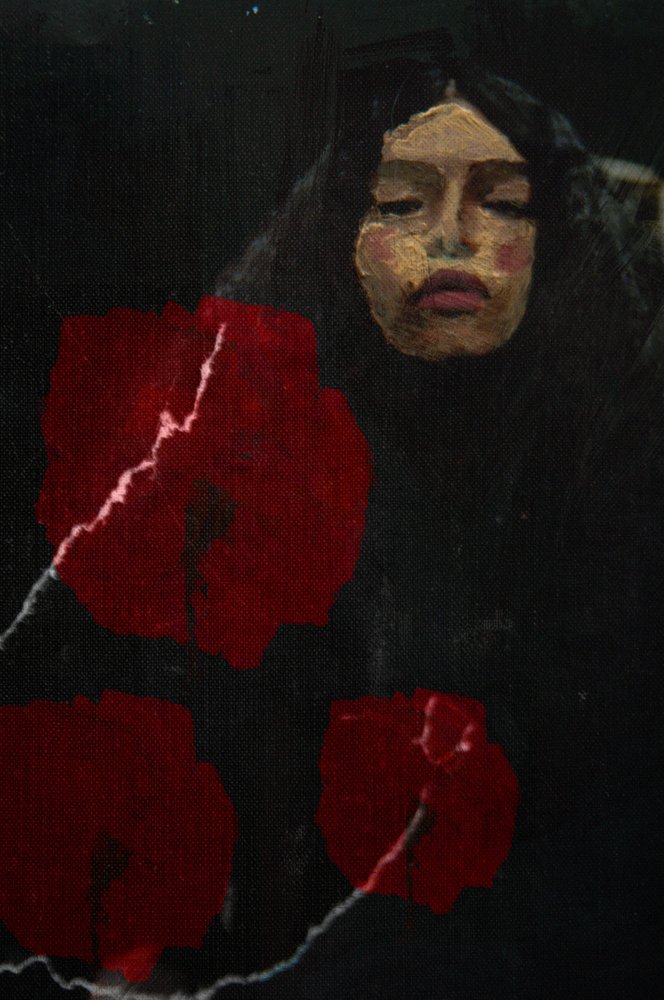 Dark Poppies Portrait by Christina Misuro