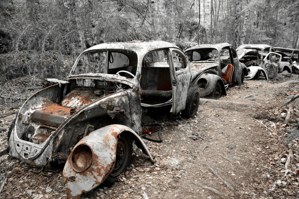 Abandoned Rusty Beetles by Christina Sillen