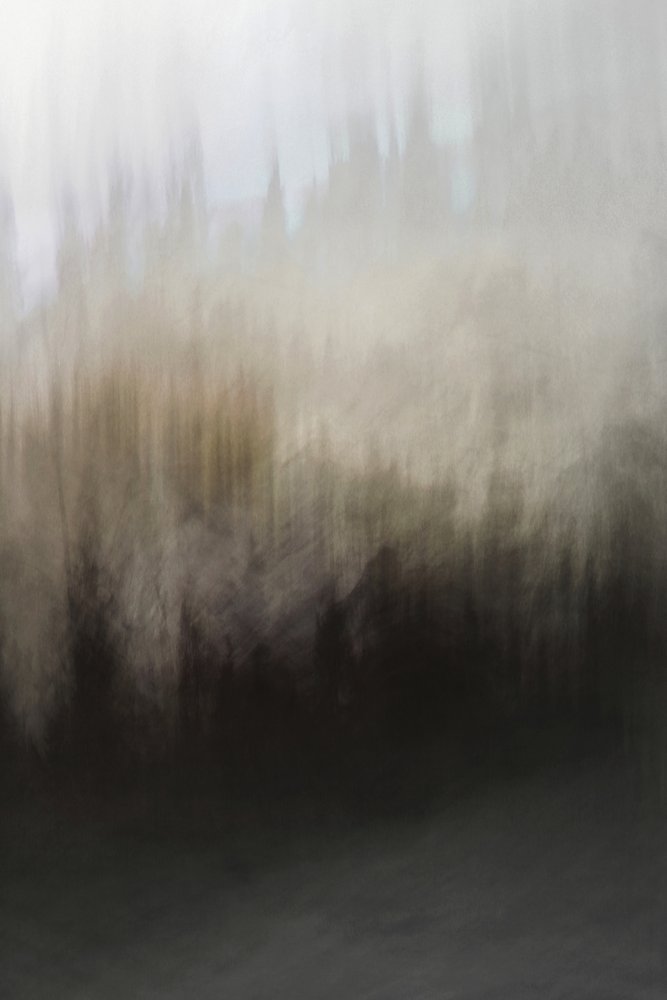 Abstract Forest Serenity by Christina Sillen