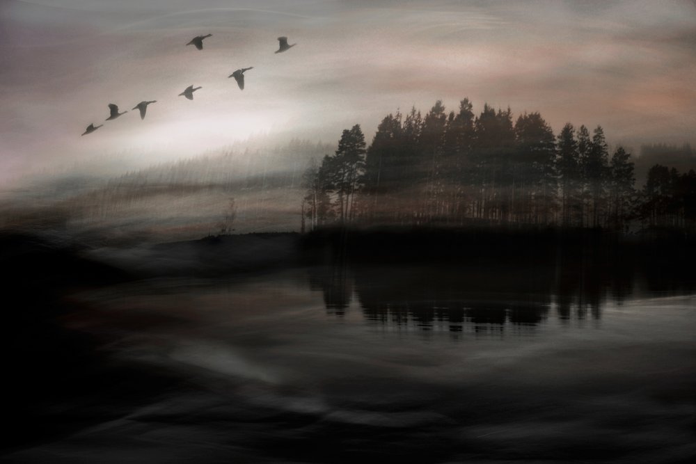 Birds Over Misty Lake by Christina Sillen