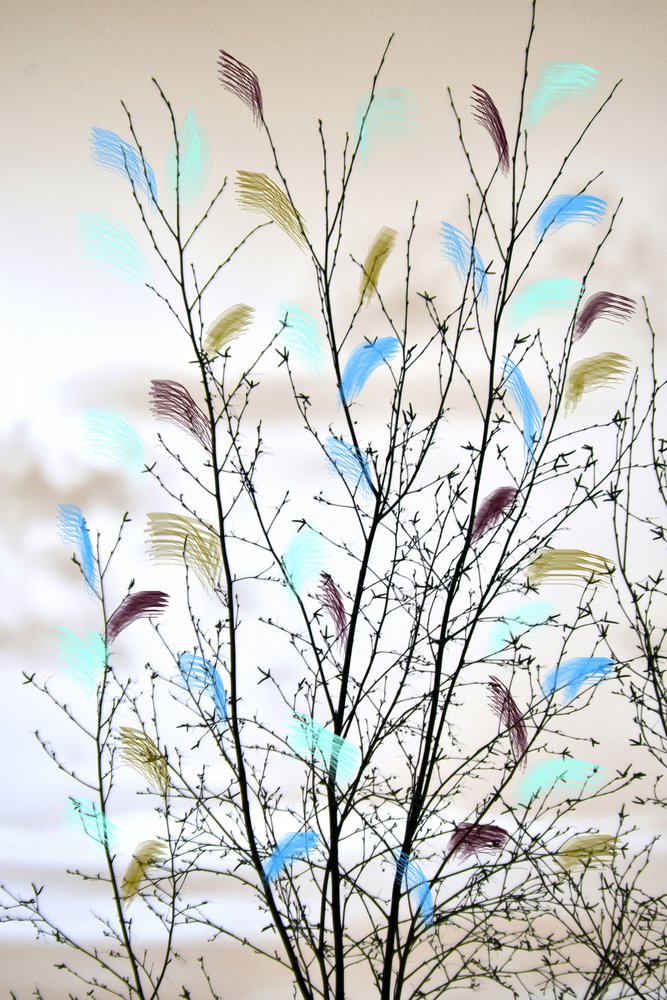 Colorful Abstract Branches by Christina Sillen