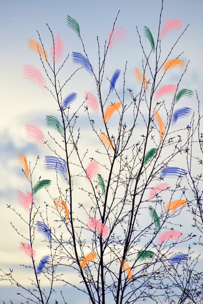 Colorful Spring Branches by Christina Sillen