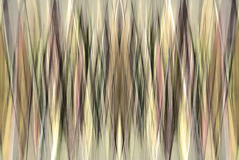 Earthy Abstract Lines by Christina Sillen