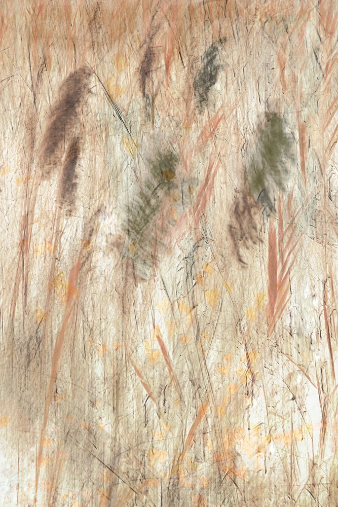 Earthy Grassland Texture by Christina Sillen