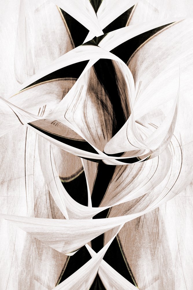 Elegant Abstract Curves by Christina Sillen