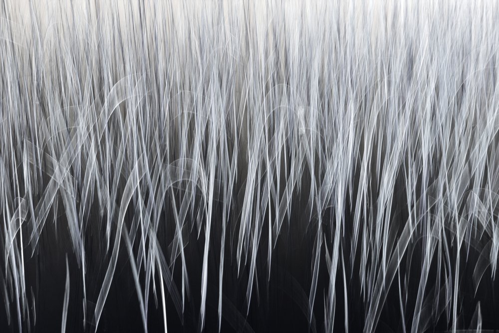 Ethereal Vertical Lines by Christina Sillen