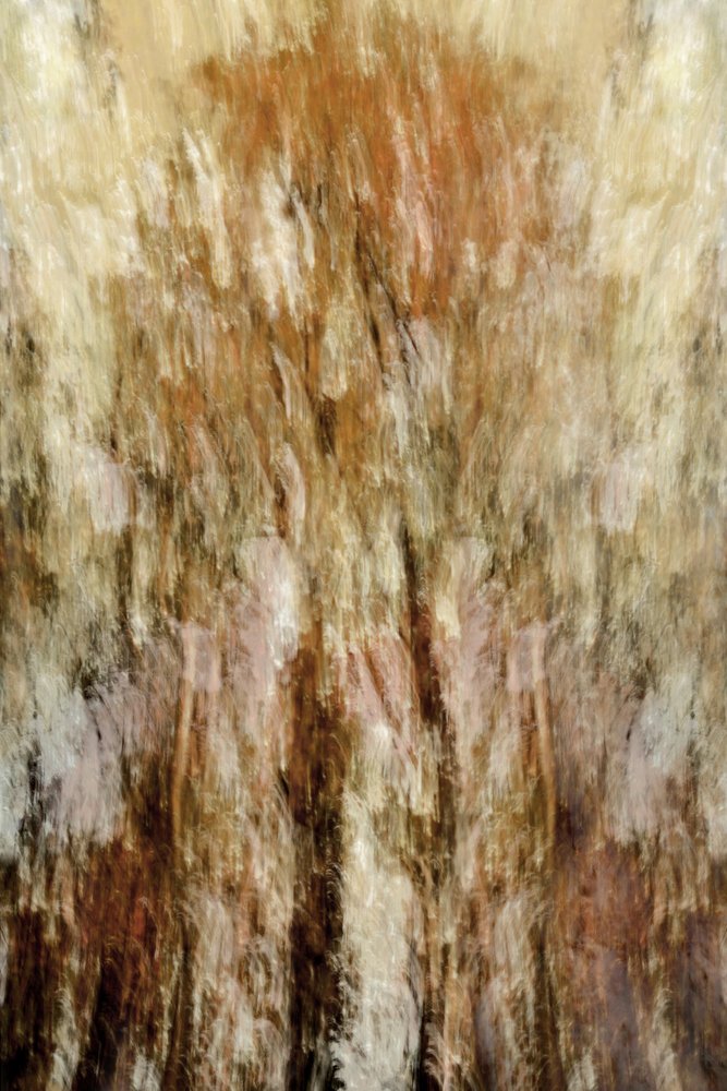 Golden Forest Impression by Christina Sillen