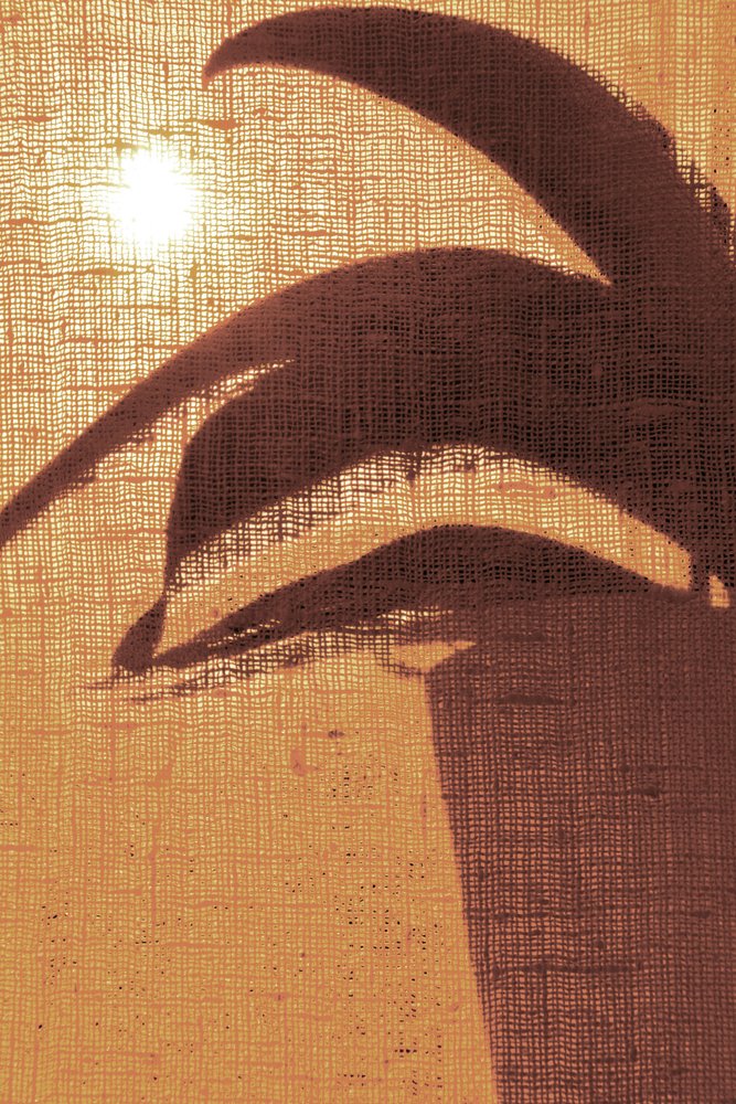 Golden Morning Silhouette by Christina Sillen