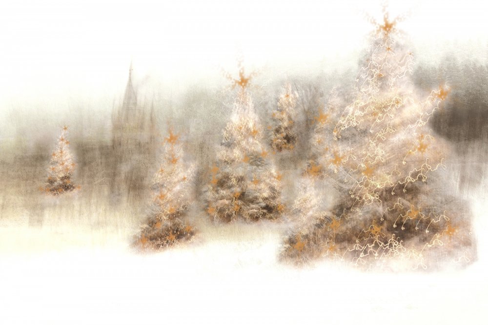 Magical Winter Trees by Christina Sillen