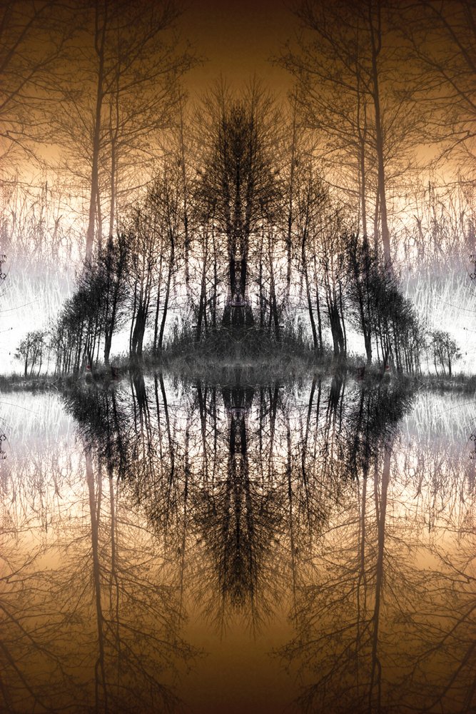 Mirrored Forest Lake by Christina Sillen