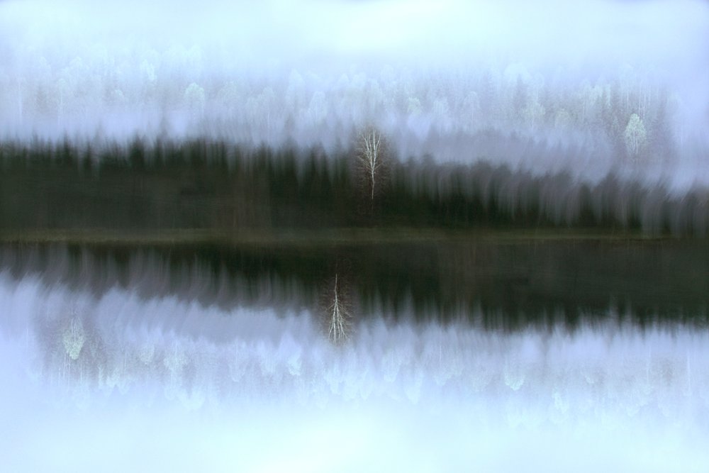 Misty Birch Reflection by Christina Sillen