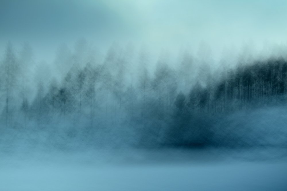 Misty Blue Forest by Christina Sillen