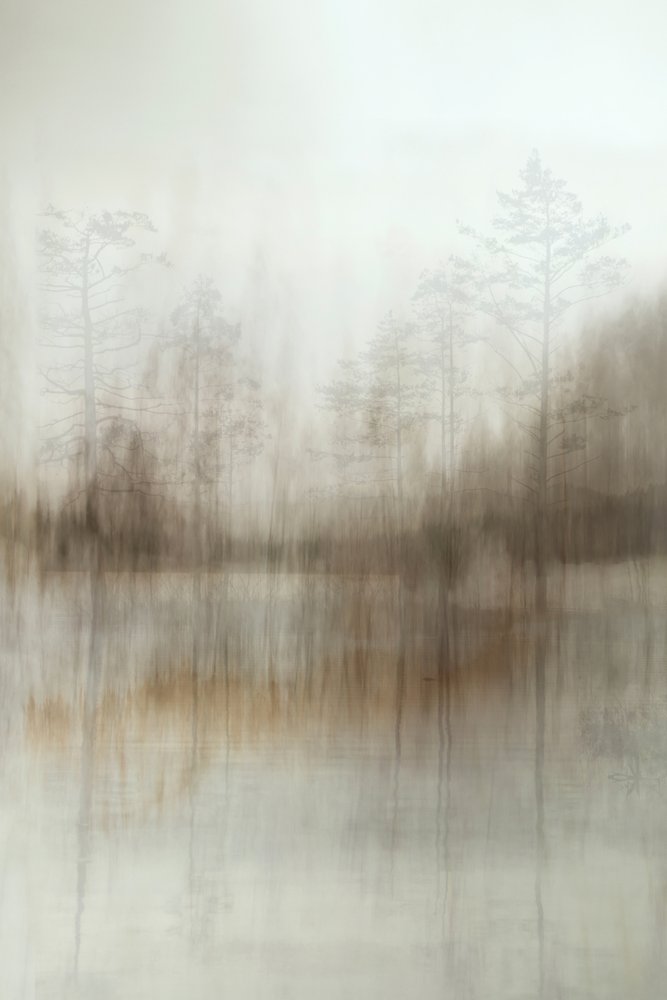 Misty Forest Reflections by Christina Sillen