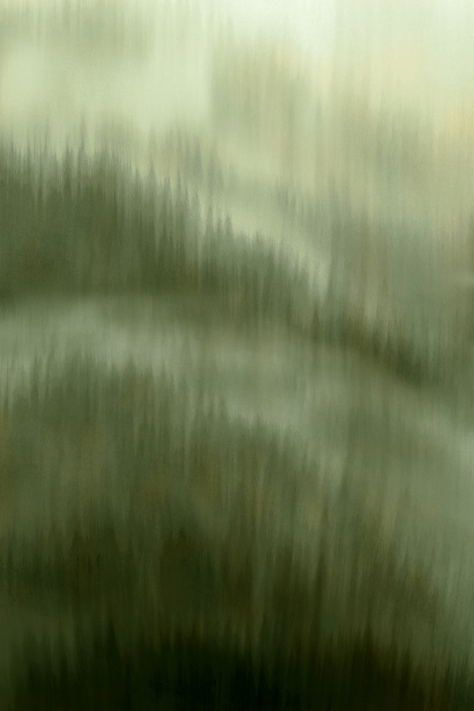 Misty Forest Serenity by Christina Sillen