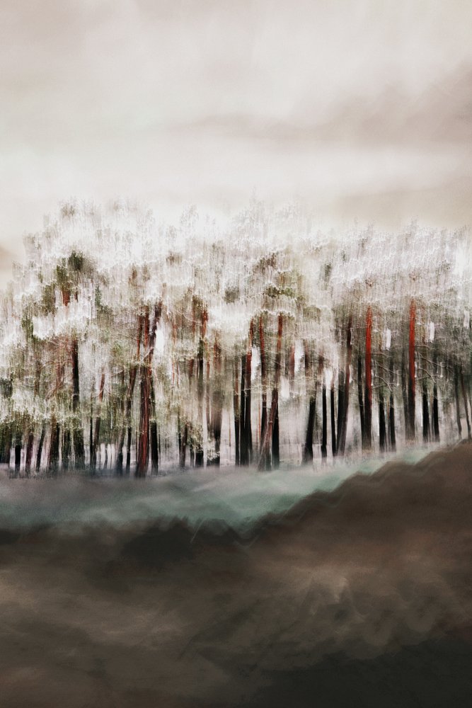 Misty Forest Serenity by Christina Sillen