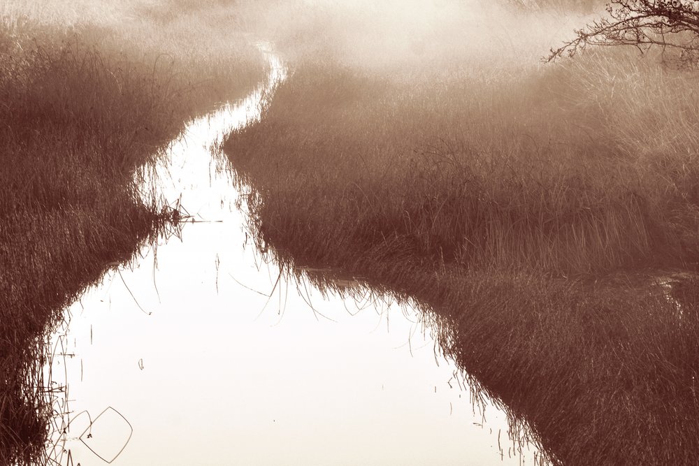 Misty River Path by Christina Sillen