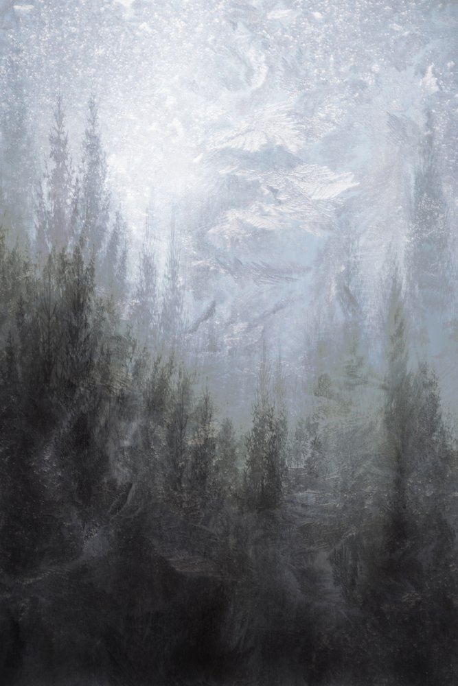 Misty Winter Forest by Christina Sillen