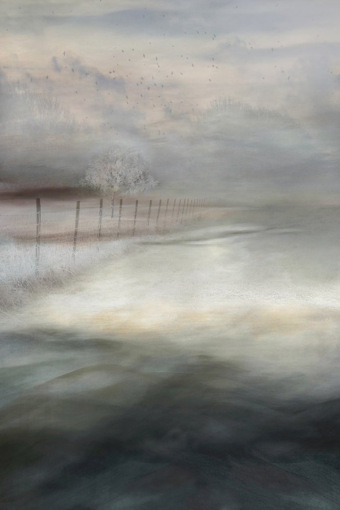 Misty Winter Landscape by Christina Sillen