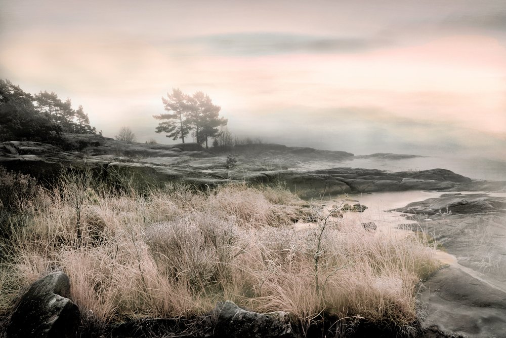 Misty Winter Shore by Christina Sillen