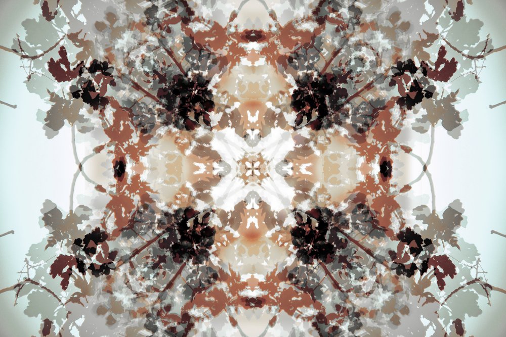 Muted Botanical Kaleidoscope by Christina Sillen
