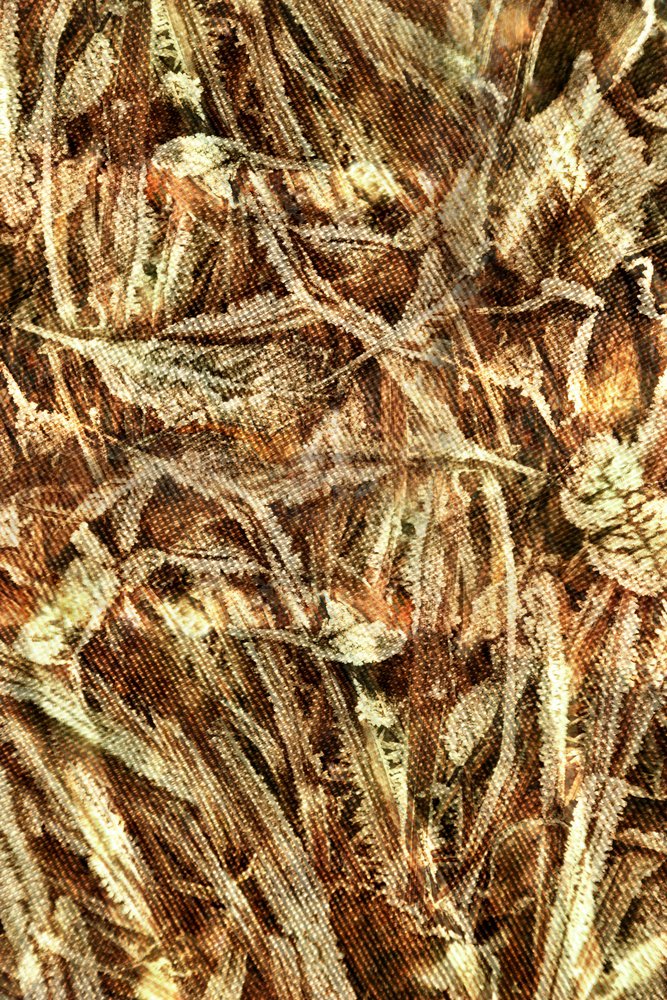 Natural Camouflage Pattern by Christina Sillen