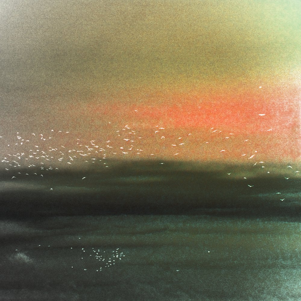 Ocean Birds Red Sky by Christina Sillen