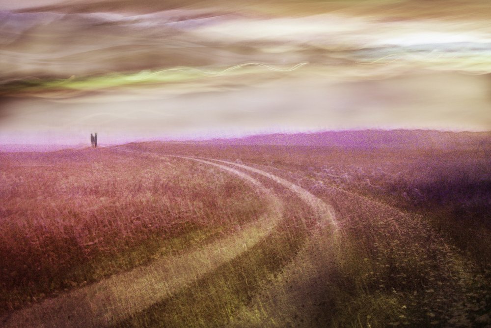 Romantic Field Path by Christina Sillen