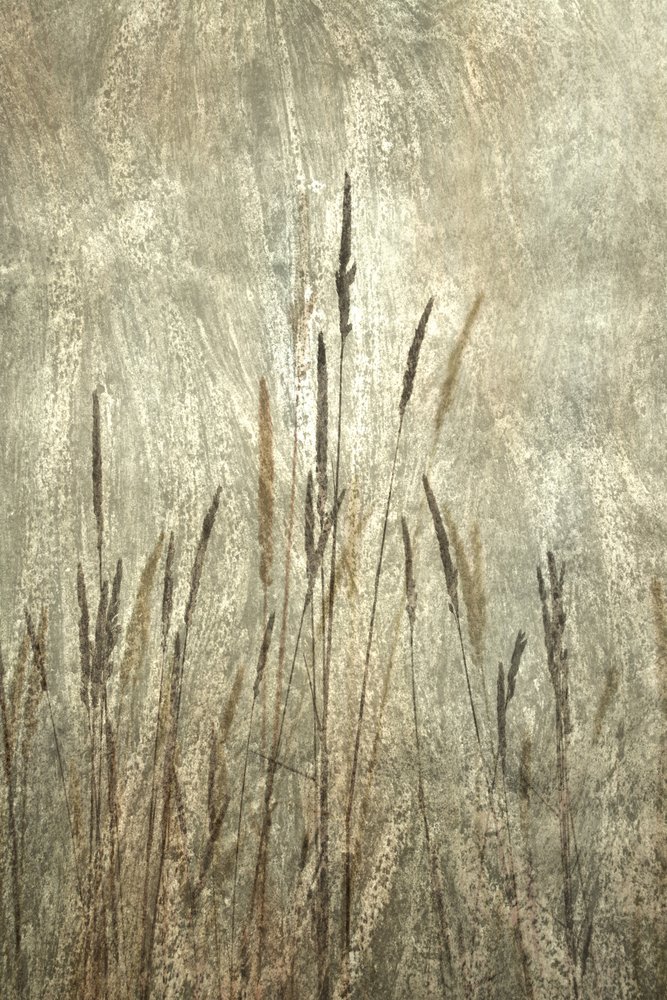 Rustic Tall Grasses by Christina Sillen