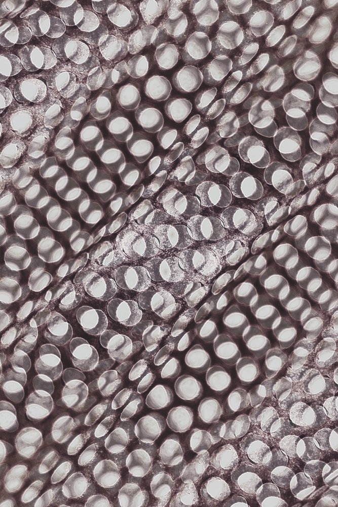 Shimmering Circular Pattern by Christina Sillen