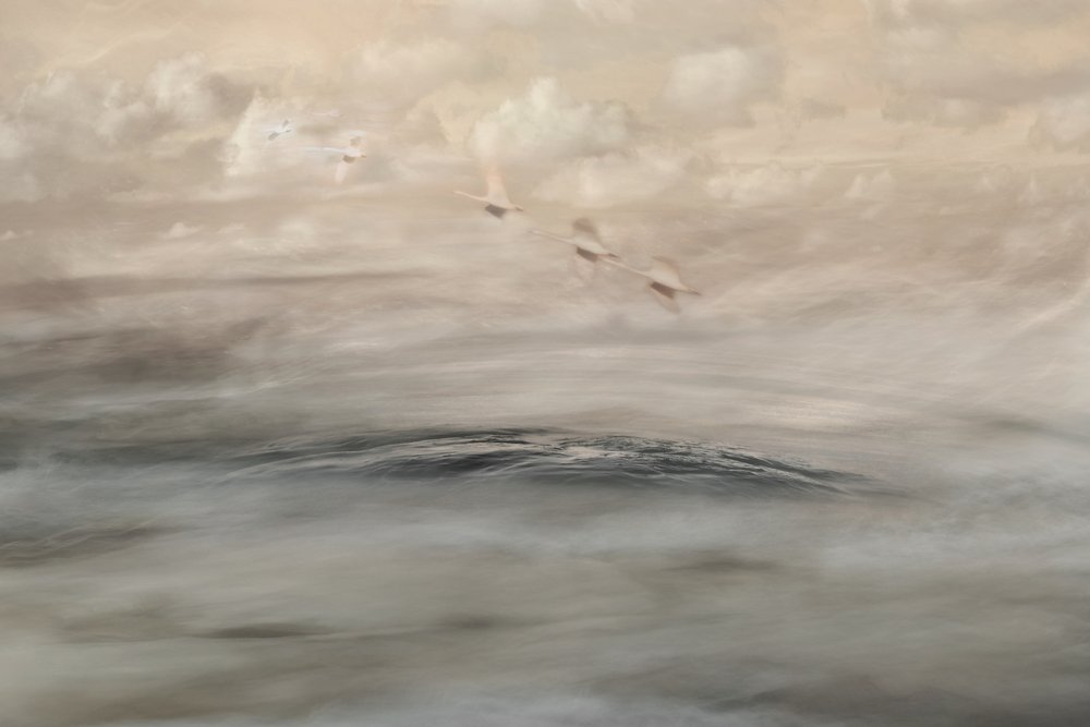 Silver Haze by Christina Sillen