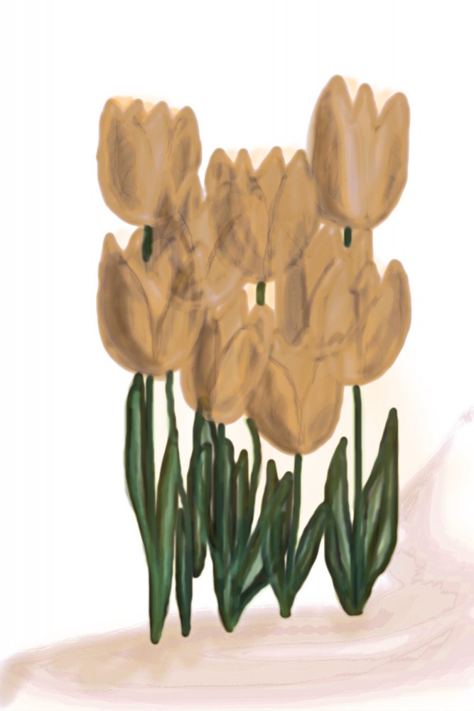 Soft Beige Tulips by Christina Sillen
