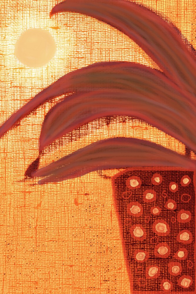 Sunny Desert Plant by Christina Sillen