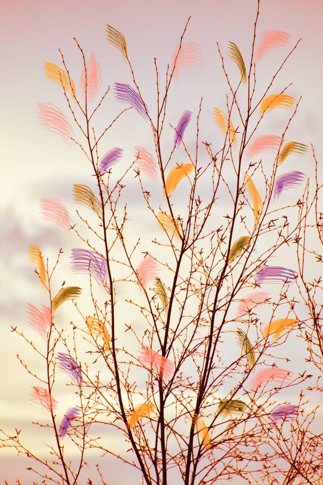 Whimsical Spring Branches by Christina Sillen