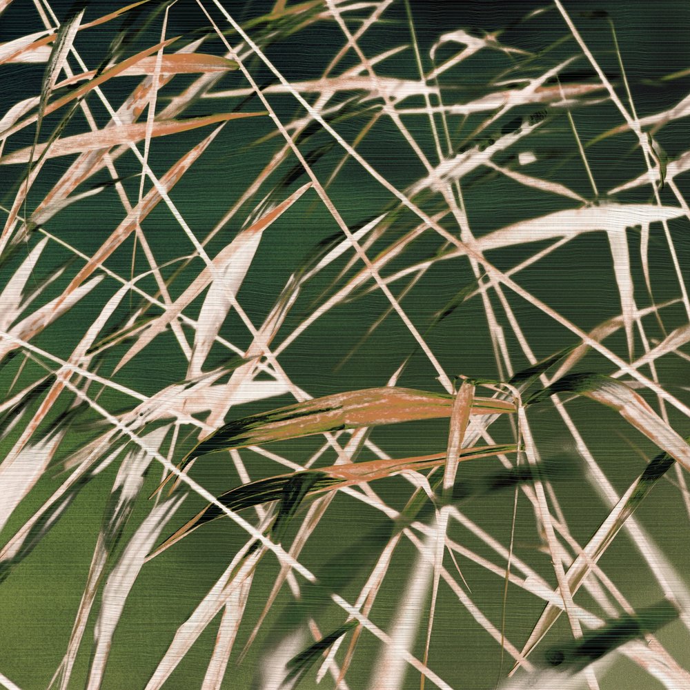 Whispering Reeds Abstract by Christina Sillen