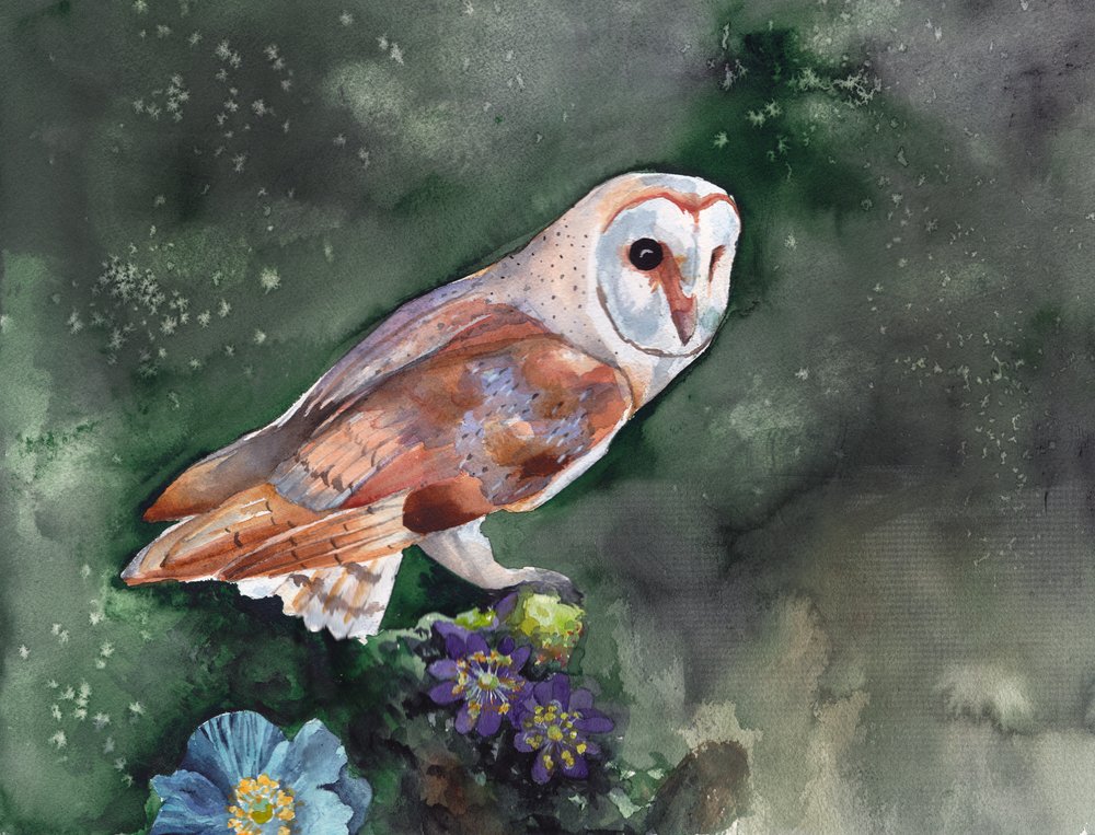 Barn Owl Nocturnal Blooms by Christine Lindstrom
