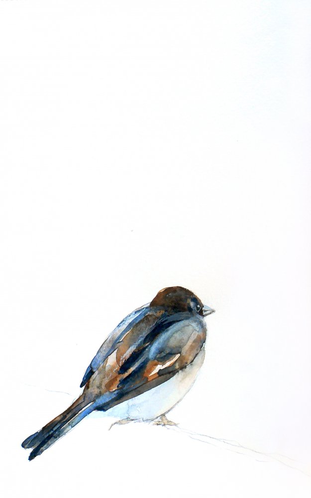 Perched Sparrow Watercolor by Christine Lindstrom