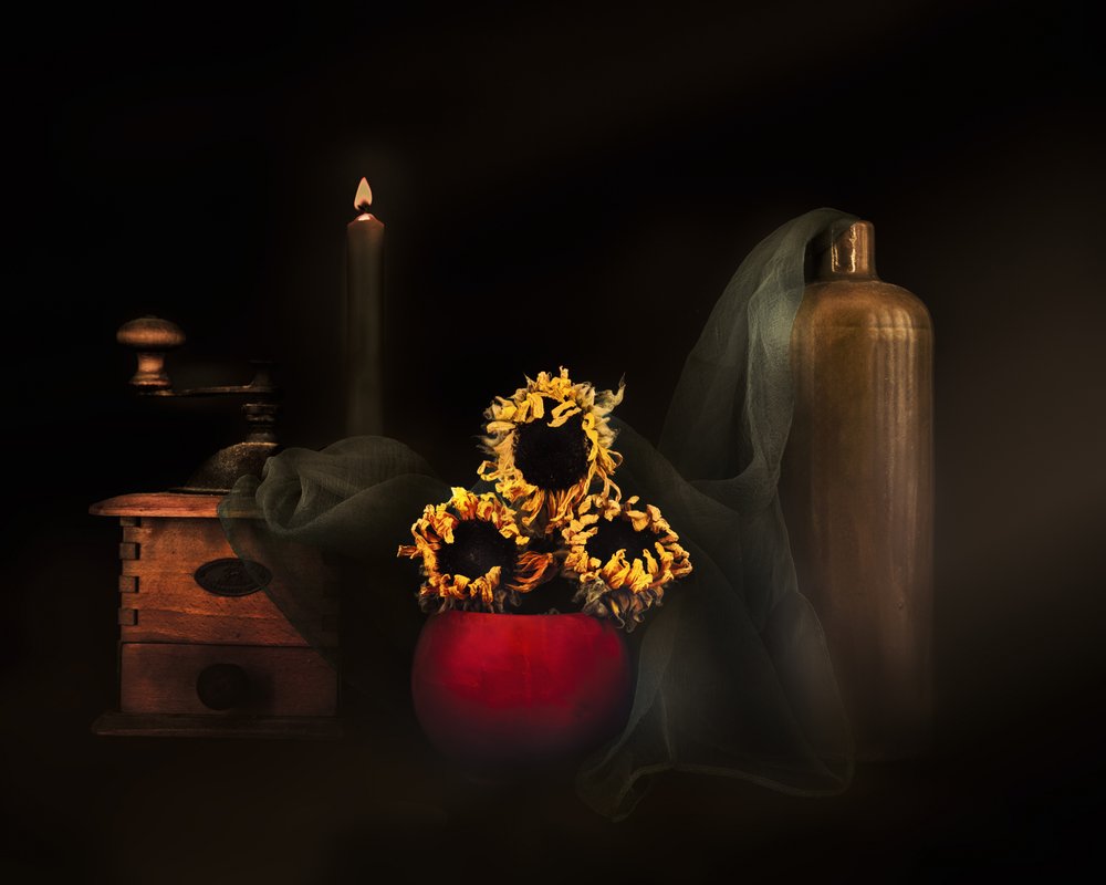 Dried Sunflowers Candlelight by Christine SUISSIA